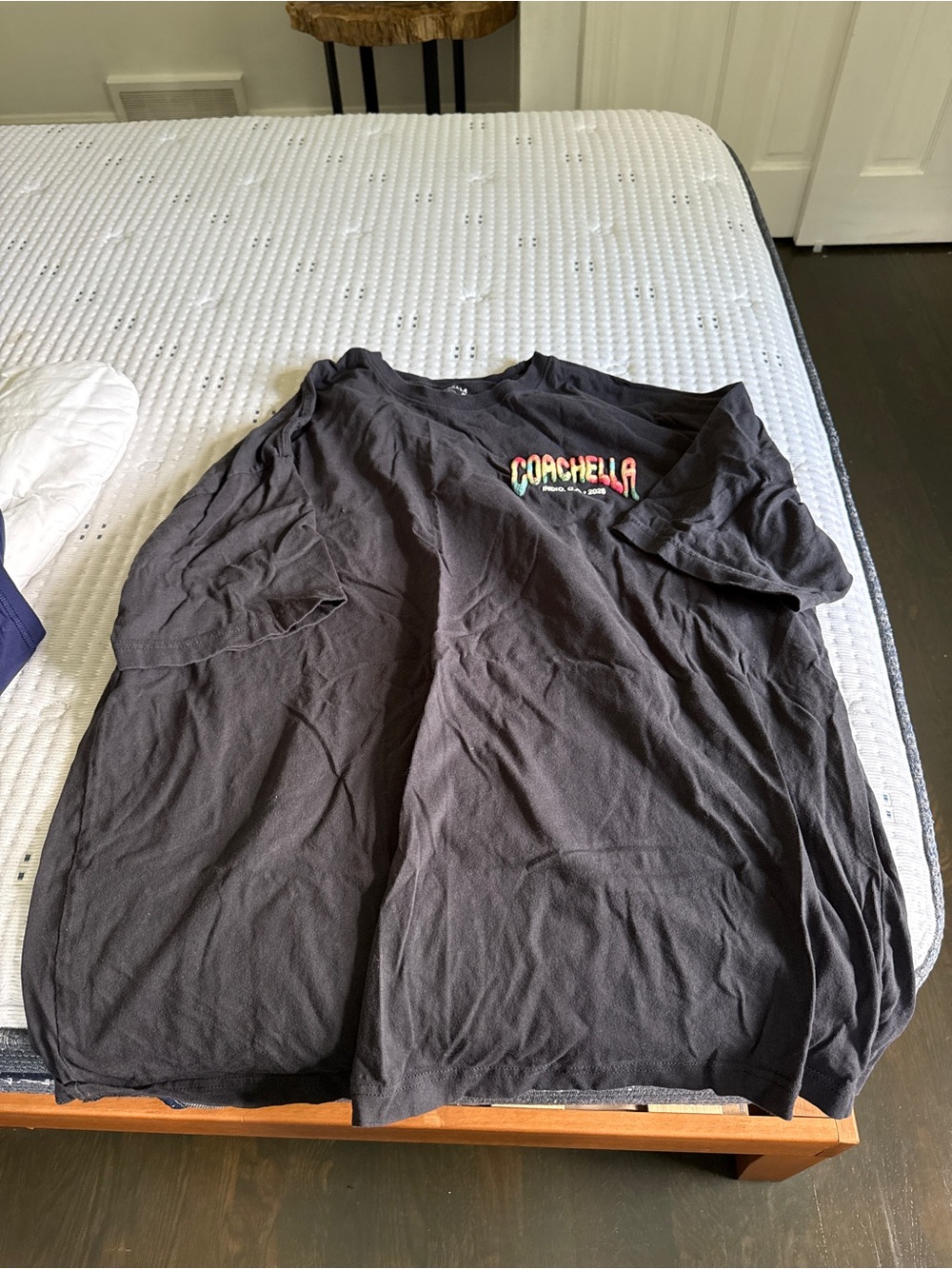 Coachella 2026 Black Graphic Tee Merch